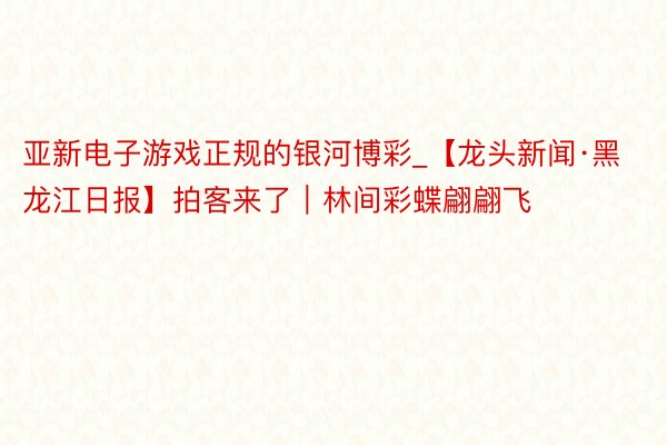 亚新电子游戏正规的银河博彩_【龙头新闻·黑龙江日报】拍客来了｜林间彩蝶翩翩飞