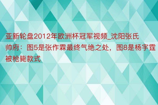 亚新轮盘2012年欧洲杯冠军视频_沈阳张氏帅府：图5是张作霖最终气绝之处，图8是杨宇霆被枪毙款式